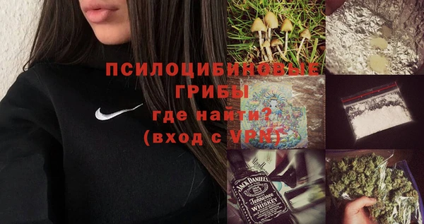 сатива Балабаново