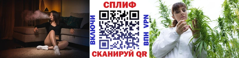 Бошки Шишки тримм  Верея 